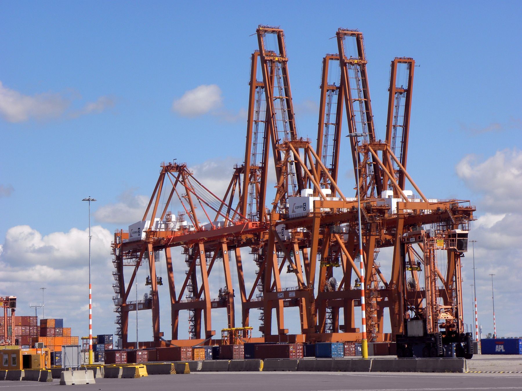 Container terminal with port cranes